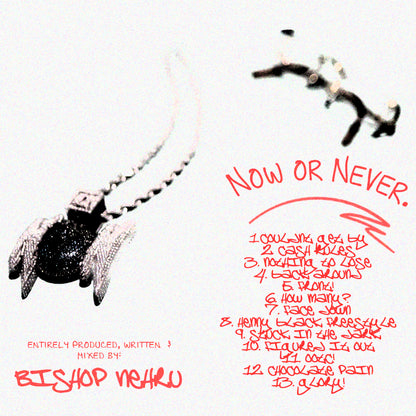 Bishop Nehru - NOW OR NEVER (Album) | Digital Download